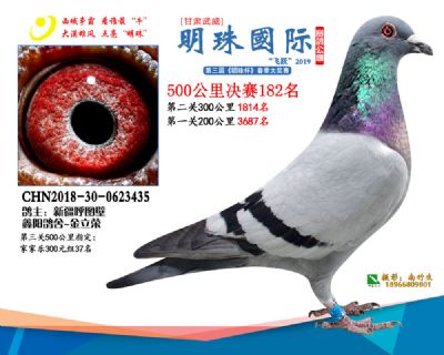 2019武威明珠182