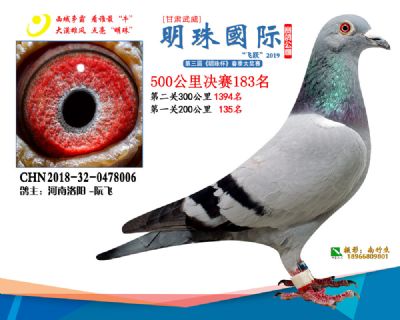 2019武威明珠183