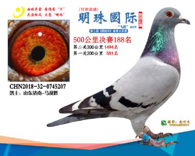 2019武威明珠188