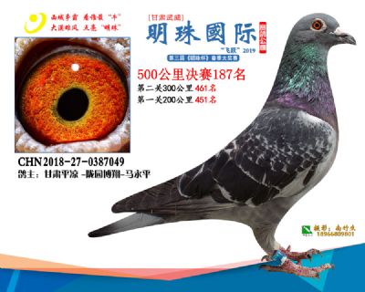 2019武威明珠187
