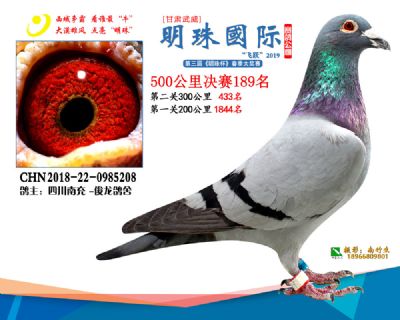 2019武威明珠189
