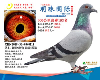 2019武威明珠193