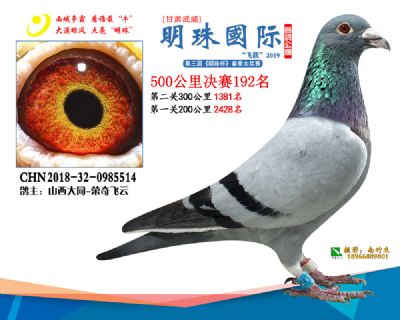 2019武威明珠192