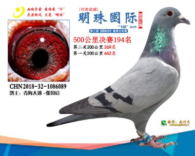 2019武威明珠194