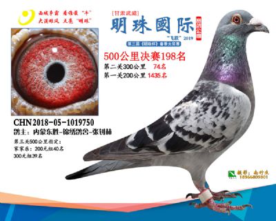 2019武威明珠198