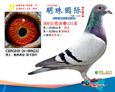 2019武威明珠131