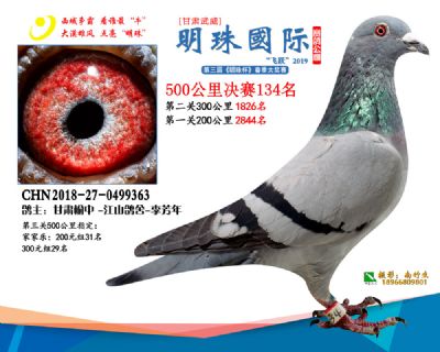 2019武威明珠134