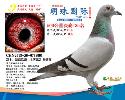 2019武威明珠135