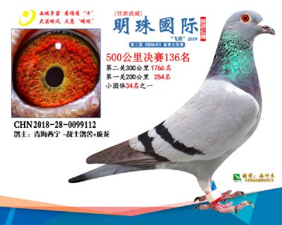 2019武威明珠136