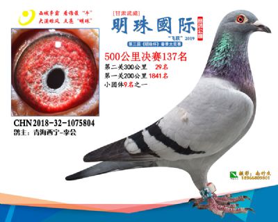2019武威明珠137