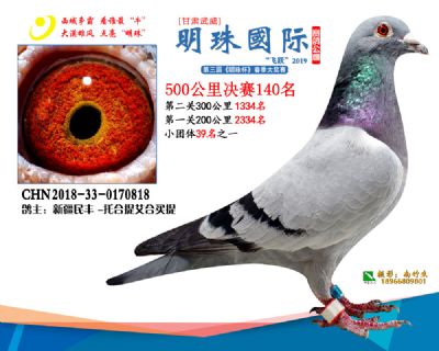 2019武威明珠140