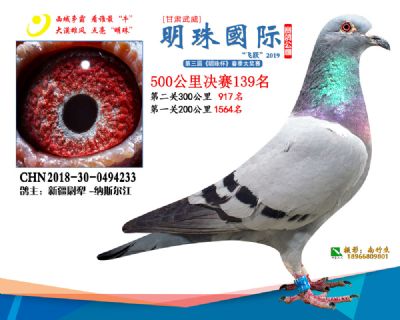 2019武威明珠139