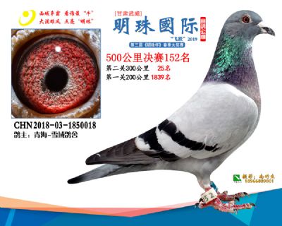 2019武威明珠152