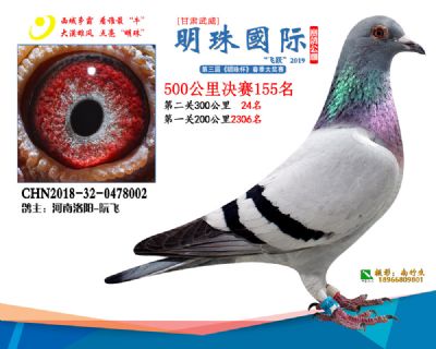 2019武威明珠155
