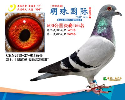 2019武威明珠156