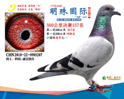 2019武威明珠157
