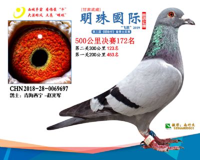2019武威明珠172