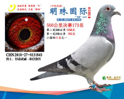 2019武威明珠173