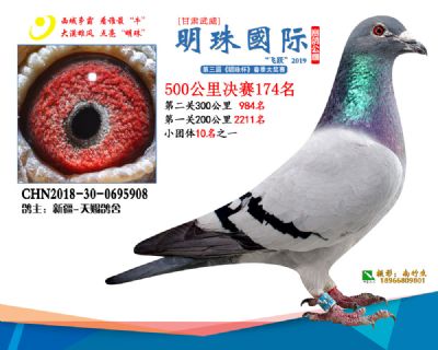 2019武威明珠174
