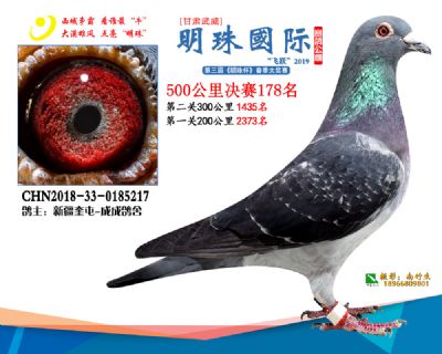 2019武威明珠178