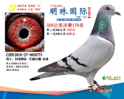 2019武威明珠179