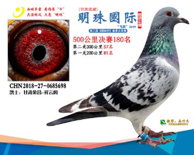 2019武威明珠180