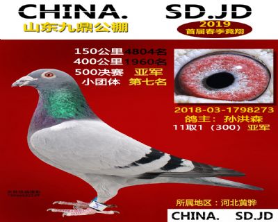 山东九鼎决赛亚军