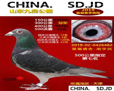 山东九鼎决赛10名