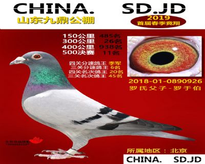 山东九鼎决赛11名