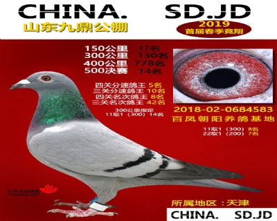 山东九鼎决赛14名