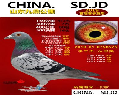 山东九鼎决赛16名