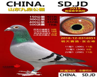 山东九鼎决赛19名