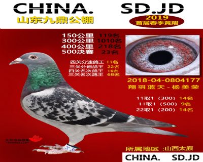 山东九鼎决赛23名