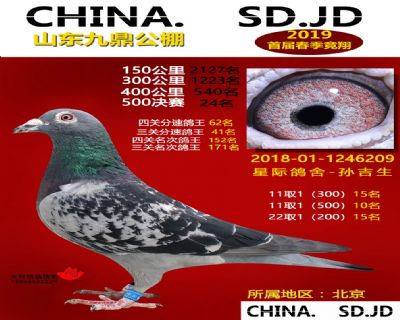 山东九鼎决赛24名