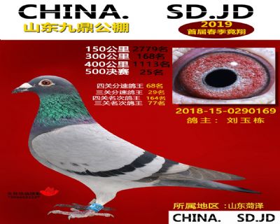 山东九鼎决赛25名