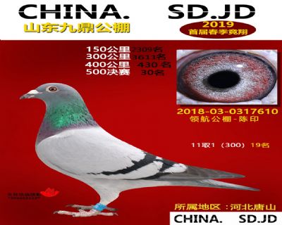 山东九鼎决赛30名