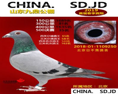 山东九鼎决赛35名