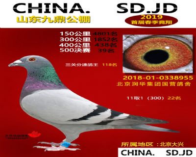 山东九鼎决赛39名