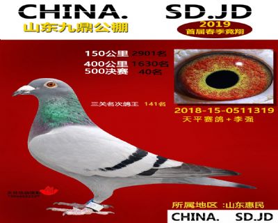 山东九鼎决赛40名