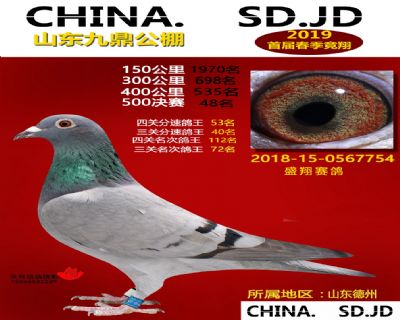 山东九鼎决赛48名