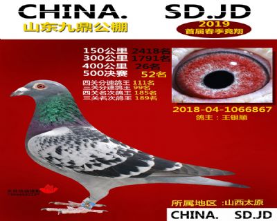 山东九鼎决赛52名