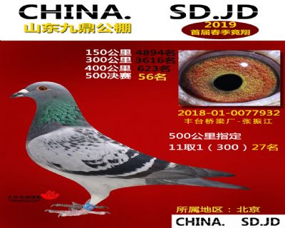 山东九鼎决赛56名