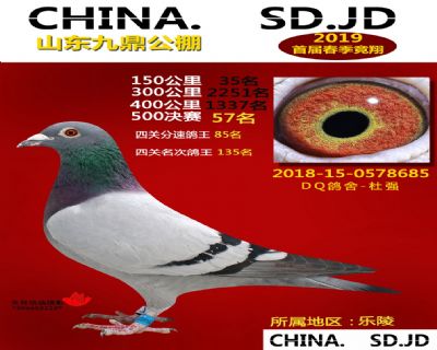 山东九鼎决赛57名