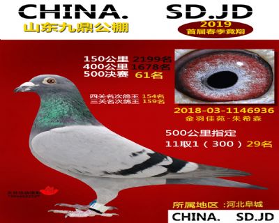 山东九鼎决赛61名