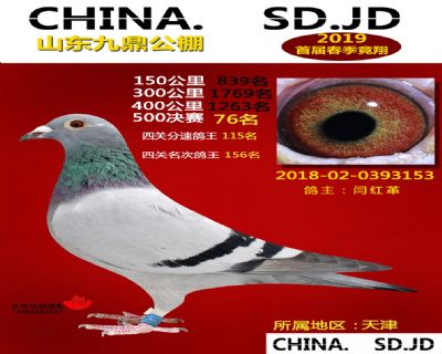 山东九鼎决赛76名
