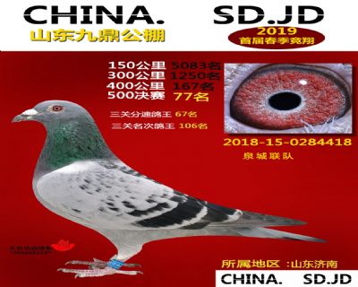山东九鼎决赛77名