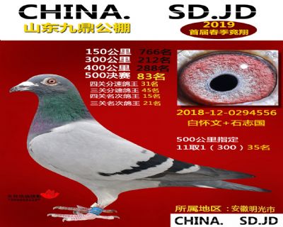 山东九鼎决赛83名
