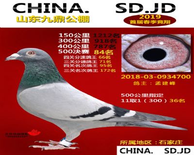 山东九鼎决赛84名