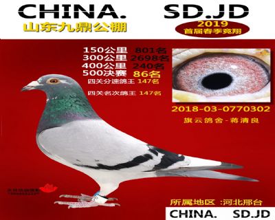 山东九鼎决赛86名