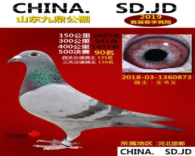 山东九鼎决赛90名